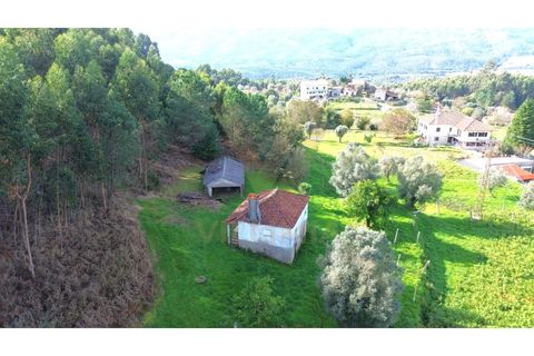 Villa i Viana do Castelo, Viana do Castelo, Viana do Castelo - € 92.000 | Ref: V147 - foto 5