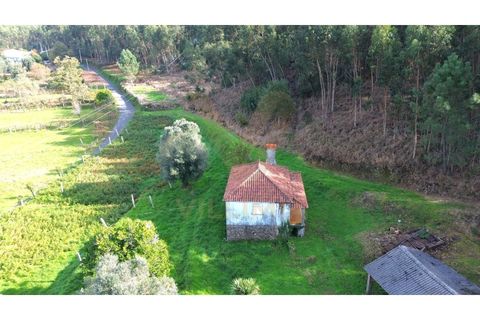 Villa i Viana do Castelo, Viana do Castelo, Viana do Castelo - € 92.000 | Ref: V147 - foto 6