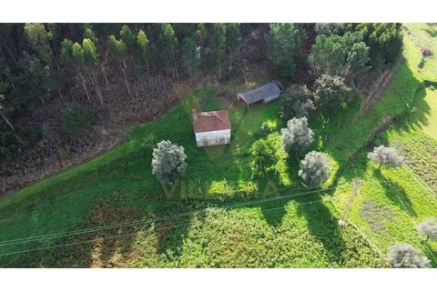 Villa i Viana do Castelo, Viana do Castelo, Viana do Castelo - € 92.000 | Ref: V147 - foto 7