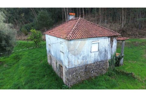 Villa i Viana do Castelo, Viana do Castelo, Viana do Castelo - € 92.000 | Ref: V147 - foto 9