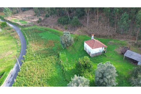 Villa i Viana do Castelo, Viana do Castelo, Viana do Castelo - € 92.000 | Ref: V147 - foto 24