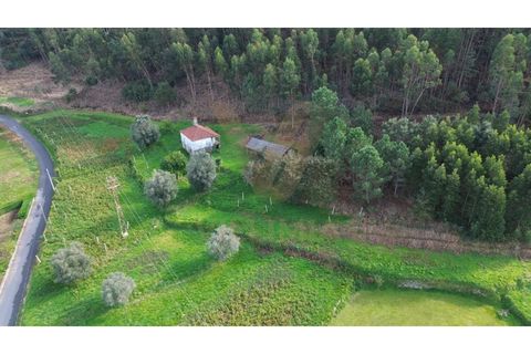 Villa i Viana do Castelo, Viana do Castelo, Viana do Castelo - € 92.000 | Ref: V147 - foto 25