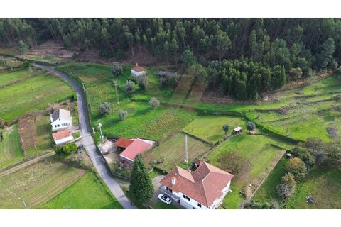 Villa i Viana do Castelo, Viana do Castelo, Viana do Castelo - € 92.000 | Ref: V147 - foto 26