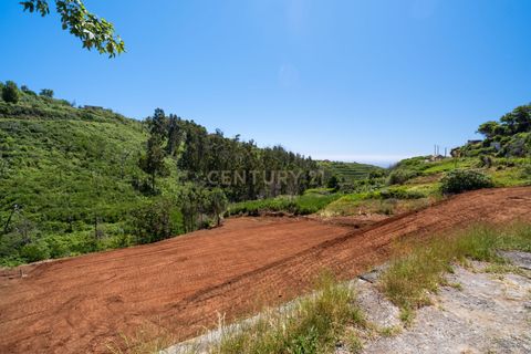Helårsgrund i Calheta, Madeira, Calheta - € 135.000 | Ref: C0447-00231 - foto 11