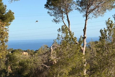 Terreno en Altea, Alicante, Altea - € 179.000 | Ref: P 029 - photo 1