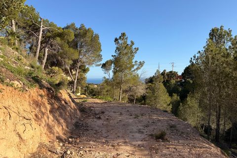 Terreno en Altea, Alicante, Altea - € 179.000 | Ref: P 029 - photo 2