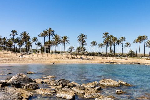 Bungalou a Torrevieja, Alicante, Torrevieja - € 139.500 | Ref: CAH-31580 - foto 32