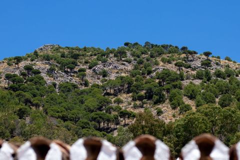 Rækkehus i Mijas, Malaga, Mijas - € 995.000 | Ref: R5413105 - foto 43
