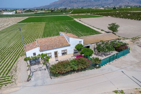 Finca i Orihuela, Alicante, Orihuela - € 150.000 | Ref: AG19MLSC9689458 - foto 2