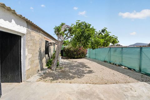 Finca i Orihuela, Alicante, Orihuela - € 150.000 | Ref: AG19MLSC9689458 - foto 8