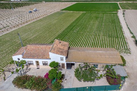 Finca i Orihuela, Alicante, Orihuela - € 150.000 | Ref: AG19MLSC9689458 - foto 15