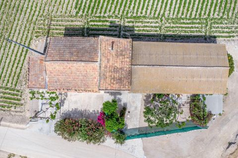 Finca i Orihuela, Alicante, Orihuela - € 150.000 | Ref: AG19MLSC9689458 - foto 16