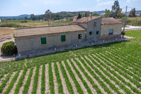 Finca i Orihuela, Alicante, Orihuela - € 150.000 | Ref: AG19MLSC9689458 - foto 18