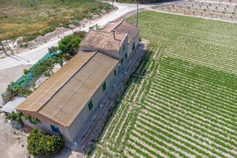 Finca i Orihuela, Alicante, Orihuela - € 150.000 | Ref: AG19MLSC9689458 - foto 20