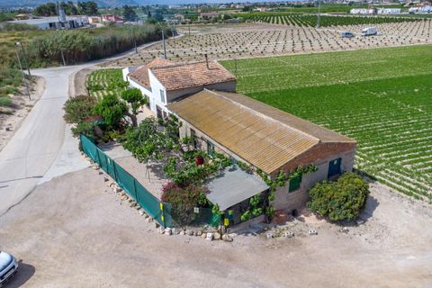 Finca i Orihuela, Alicante, Orihuela - € 150.000 | Ref: AG19MLSC9689458 - foto 21