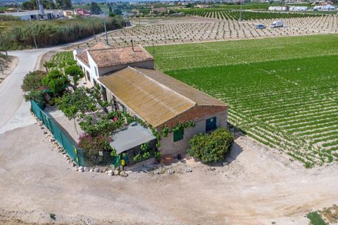 Finca i Orihuela, Alicante, Orihuela - € 150.000 | Ref: AG19MLSC9689458 - foto 22