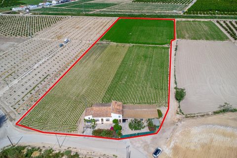 Finca i Orihuela, Alicante, Orihuela - € 150.000 | Ref: AG19MLSC9689458 - foto 25