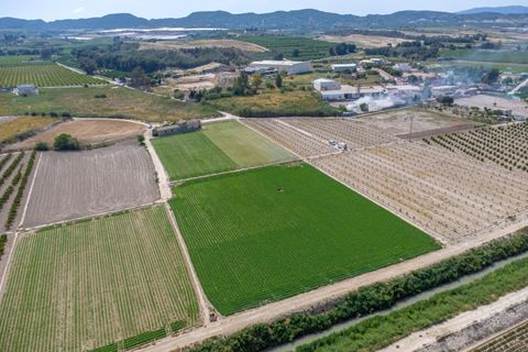 Finca i Orihuela, Alicante, Orihuela - € 150.000 | Ref: AG19MLSC9689458 - foto 30