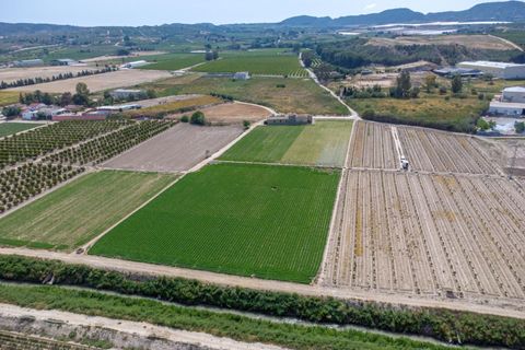 Finca i Orihuela, Alicante, Orihuela - € 150.000 | Ref: AG19MLSC9689458 - foto 31