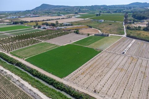 Finca i Orihuela, Alicante, Orihuela - € 150.000 | Ref: AG19MLSC9689458 - foto 32