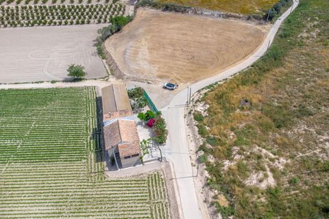 Finca i Orihuela, Alicante, Orihuela - € 150.000 | Ref: AG19MLSC9689458 - foto 37