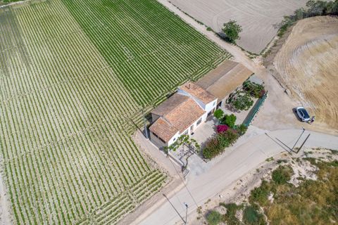 Finca i Orihuela, Alicante, Orihuela - € 150.000 | Ref: AG19MLSC9689458 - foto 39