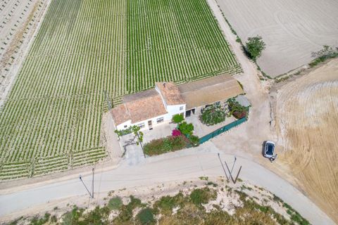 Finca i Orihuela, Alicante, Orihuela - € 150.000 | Ref: AG19MLSC9689458 - foto 41