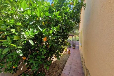 Villa a Alcalali, Alicante, Alcalali - € 349.000 | Ref: 2396 - foto 23
