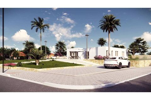 Villa i Algorfa, Alicante, Algorfa - € 995 000 | Ref: NFH-FH-0005a - foto 8