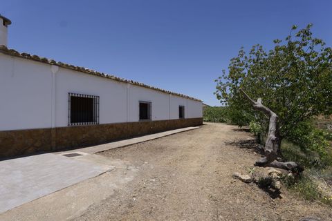 Villa en Murtas, Granada, Murtas - € 350.000 | Ref: Manzanillo Alto - photo 11