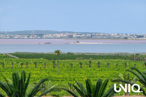 Lejlighed i Torrevieja, Alicante, Torrevieja - € 319.900 | Ref: 1299 - foto 25