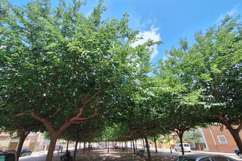 Rækkehus i Almoradi, Alicante, Almoradi - € 204.000 | Ref: P9146 - foto 29