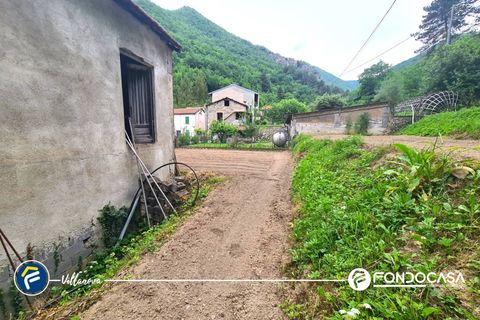 Erhvervsejendom i Erli, Savona, Erli - € 10.000 | Ref: F864-269 - foto 7