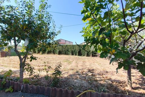 Haus in Vimioso, Braganca, Vimioso - € 215.000 | Ref: C0458-00612 - Foto 7