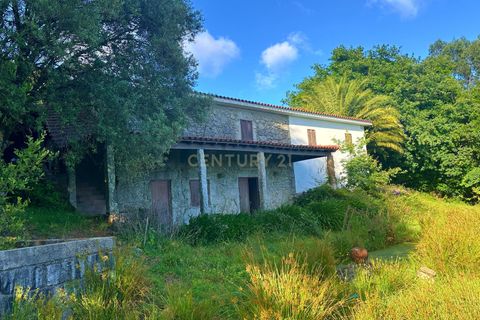 Farm hus i Lousa, Coimbra, Lousa - € 324.000 | Ref: C0256-03512 - foto 7
