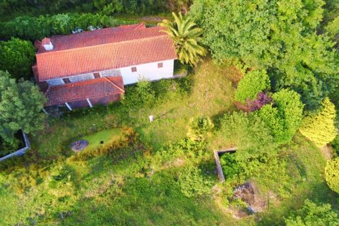 Farm hus i Lousa, Coimbra, Lousa - € 324.000 | Ref: C0256-03512 - foto 9