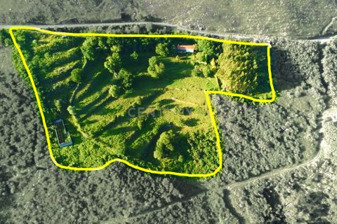 Farm hus i Lousa, Coimbra, Lousa - € 324.000 | Ref: C0256-03512 - foto 14