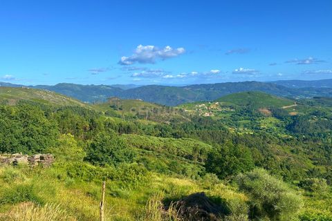 Farm hus i Lousa, Coimbra, Lousa - € 324.000 | Ref: C0256-03512 - foto 27