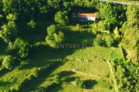 Farm hus i Lousa, Coimbra, Lousa - € 324.000 | Ref: C0256-03512 - foto 31