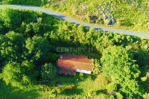 Farm hus i Lousa, Coimbra, Lousa - € 324.000 | Ref: C0256-03512 - foto 37