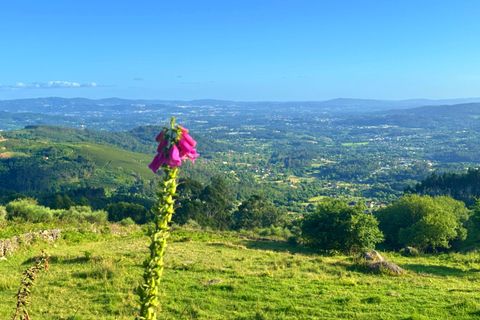 Farm hus i Lousa, Coimbra, Lousa - € 324.000 | Ref: C0256-03512 - foto 38
