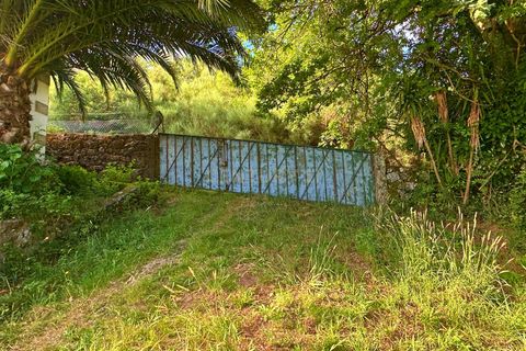 Farm hus i Lousa, Coimbra, Lousa - € 324.000 | Ref: C0256-03512 - foto 40