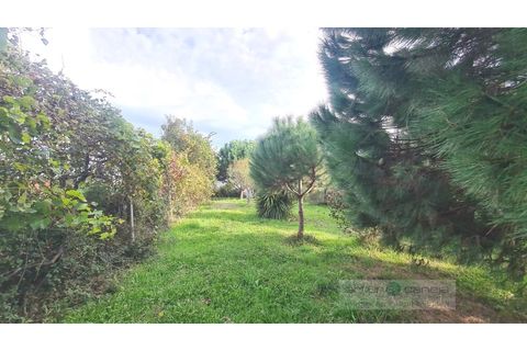 Villa i Arcos de Valdevez, Viana do Castelo, Arcos de Valdevez - € 284.000 | Ref: 7132 - foto 7
