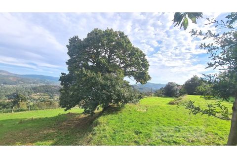 Villa i Arcos de Valdevez, Viana do Castelo, Arcos de Valdevez - € 284.000 | Ref: 7132 - foto 10
