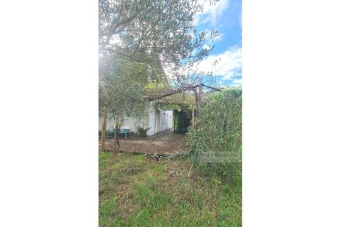 Villa i Arcos de Valdevez, Viana do Castelo, Arcos de Valdevez - € 284.000 | Ref: 7132 - foto 13
