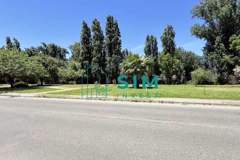 Erhvervsejendom i Evora, Evora, Evora - € 125.000 | Ref: CS243 - foto 21