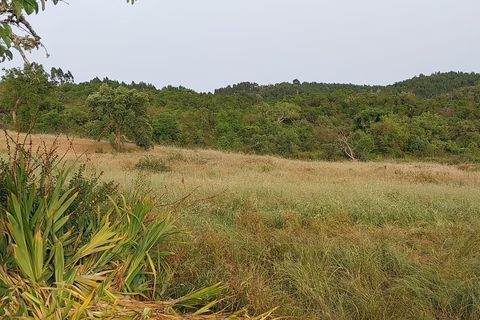 Landejendom i Odemira, Beja, Odemira - € 450.000 | Ref: G-614 - foto 1