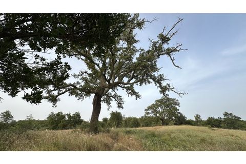 Landejendom i Odemira, Beja, Odemira - € 450.000 | Ref: G-614 - foto 2