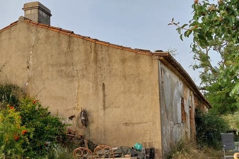 Landejendom i Odemira, Beja, Odemira - € 450.000 | Ref: G-614 - foto 10