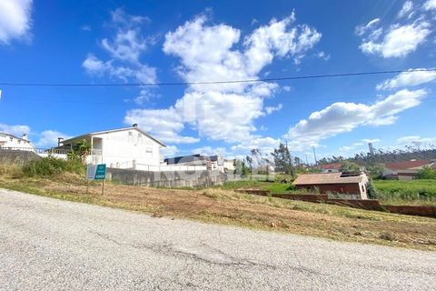 Helårsgrund i Bidoeira de Cima, Leiria, Bidoeira de Cima - € 87.000 | Ref: 4626 - foto 3